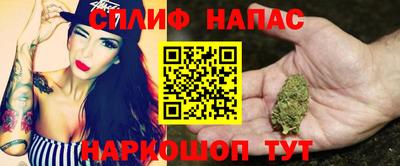сатива Кулебаки