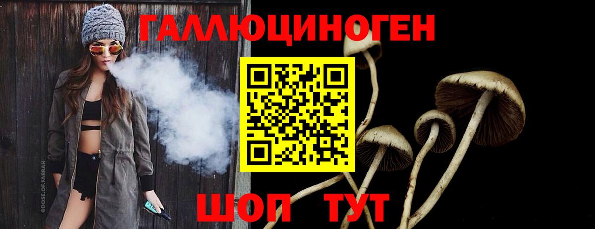 Галлюциногенные грибы Cubensis  Вход с VPN  Елабуга 